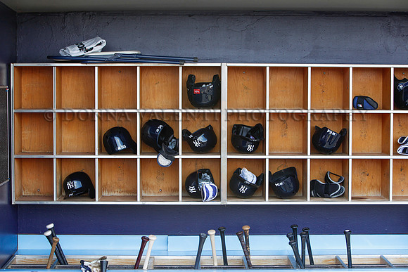 Yankee Organization