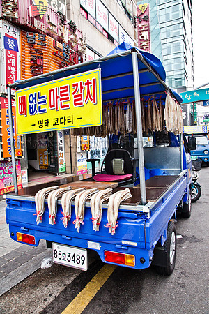 One Fish, Two Fish, Red Fish, Blue Truck