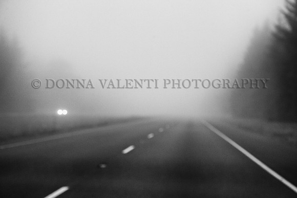Color me Misty