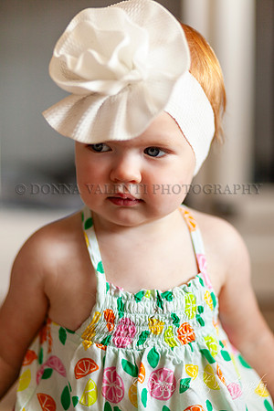 © 2024 Donna Valenti Photography
