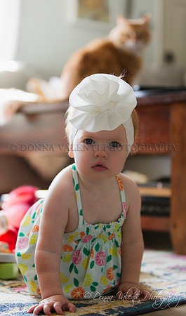 © 2024 Donna Valenti Photography