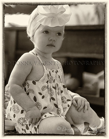 © 2024 Donna Valenti Photography