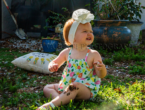 © 2024 Donna Valenti Photography