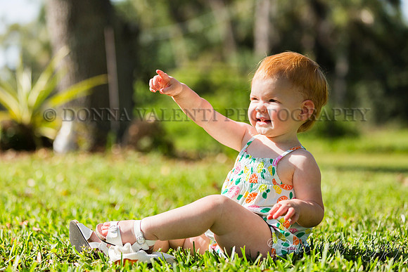 © 2024 Donna Valenti Photography